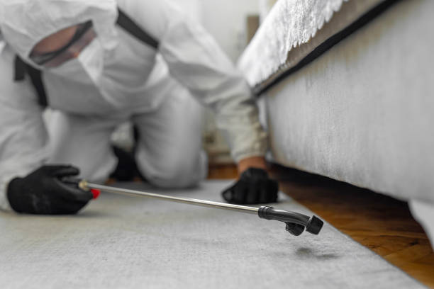 Professional Bed Bug Control technician working in Union Springs, AL