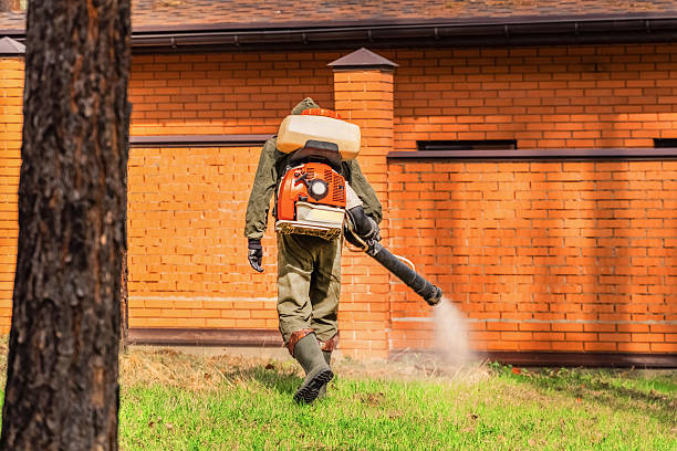 Trusted Rodent Control service in Union Springs, AL - Nex Pest Control